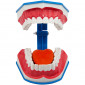 Демонстрационная модель Revyline TM-049 "Зубы", средняя